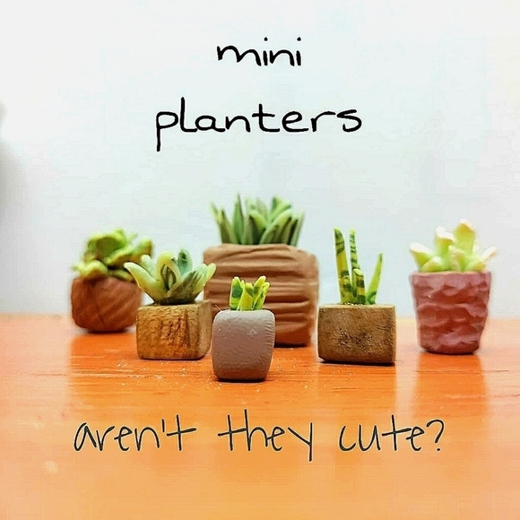 Other - 6 Polymer clay & tiger maple potted plants